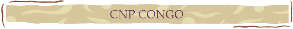 CNP CONGO